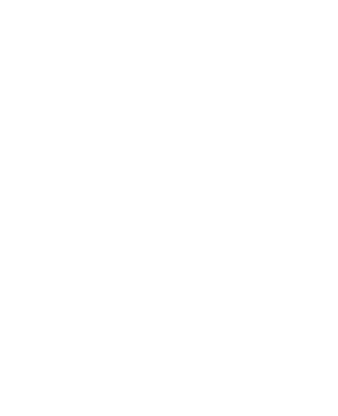 Bureau Veritas